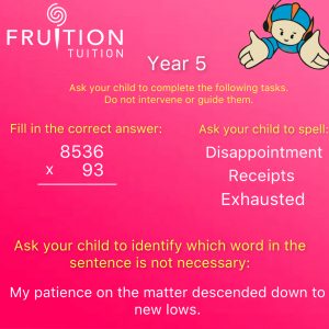 Study Year 5 Program