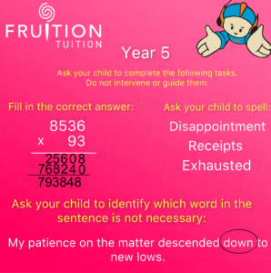 Year 5 Study Program